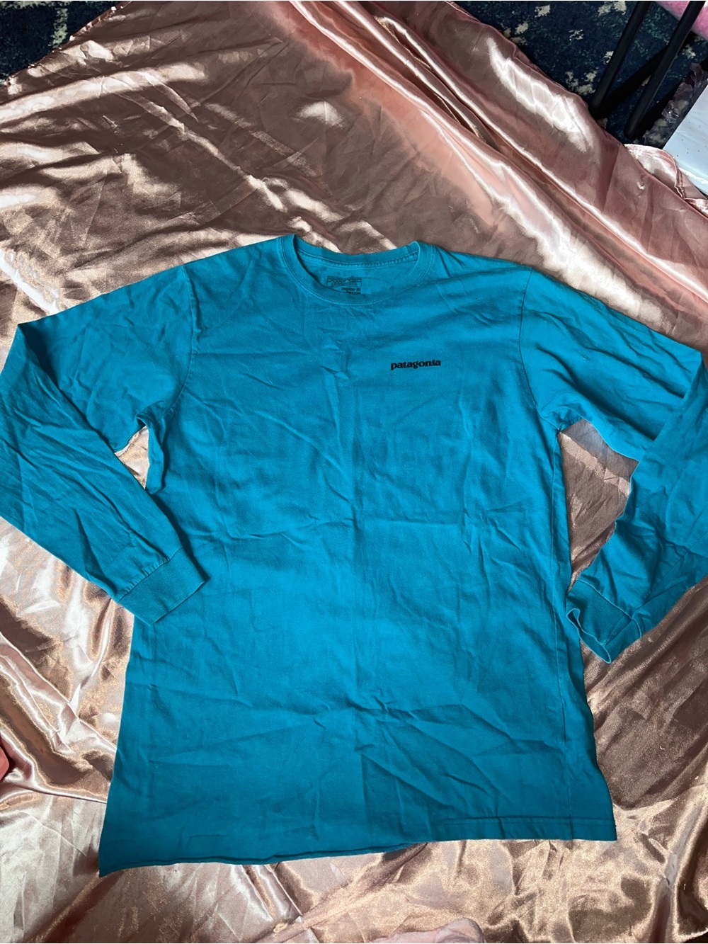 Patagonia Men’s Long-Sleeve Crew Tee - Teal Blue